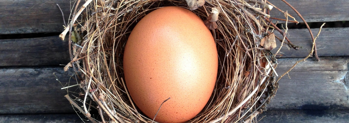 Superannuation Guarantee Nest Egg