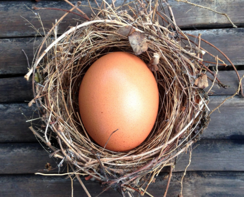 Superannuation Guarantee Nest Egg