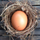 Superannuation Guarantee Nest Egg